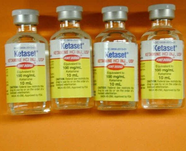 Ketaset Ketamine 100 mg/10 ml